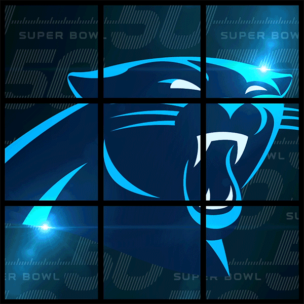SB50_Panthers_GIF_v1