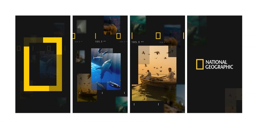 NatGeo_Design_Board_Thumbs_r2_v01